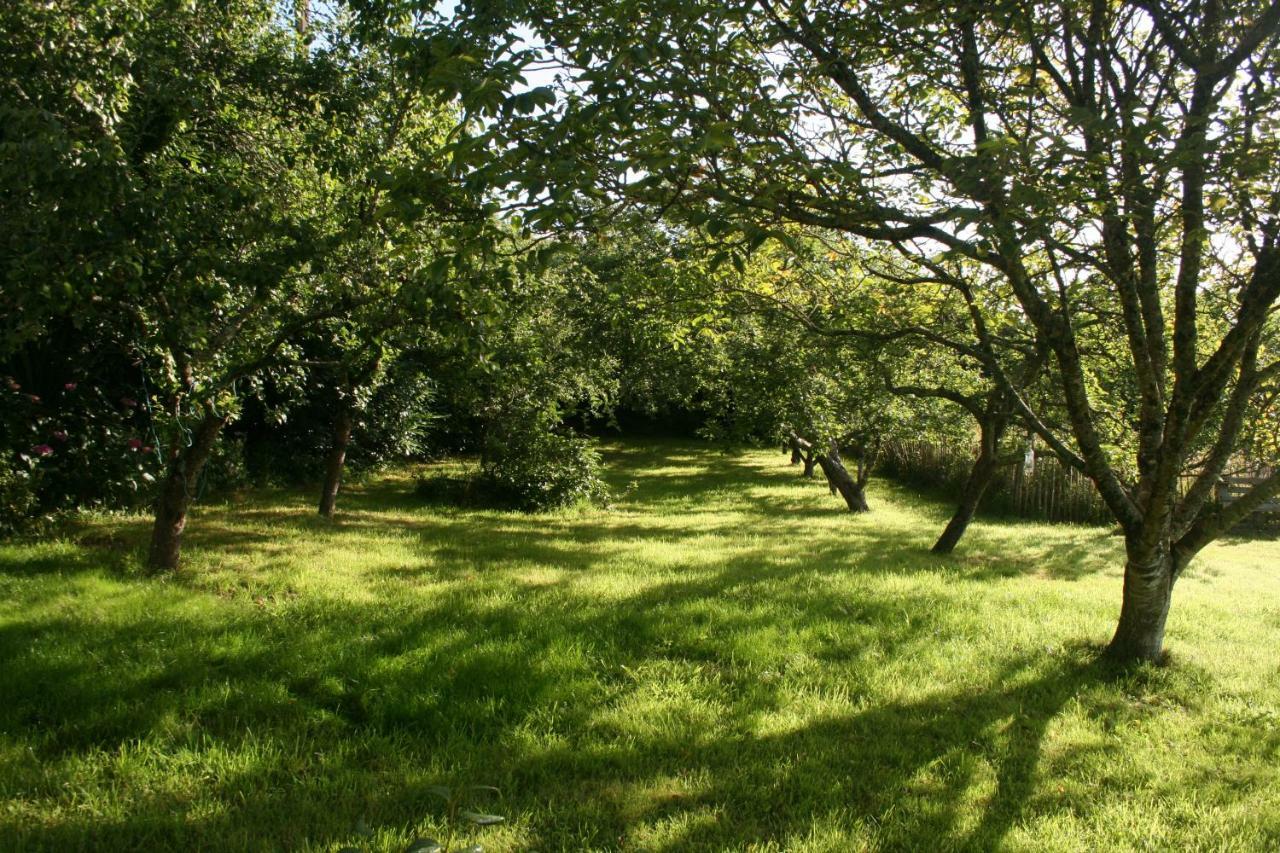 Les Gites D'Hellen Logonna-Daoulas Exteriér fotografie